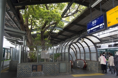 Эта японская ж/д станция построена вокруг старинного дерева